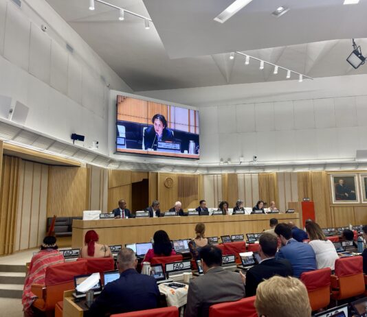 산림청, 유엔식량농업기구에서 국제 산불협력 강화