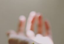 머리부터 발끝까지 우리 몸을 덮고 있는 피부 selective focus photography of white clustered flowers on left human hand