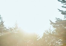 여성 건강관리, 지금부터 시작해야 할 필수 생활 습관 group of people raising their hands