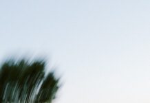 스트레스, 제대로 관리하면 건강도 지킨다 People gathered outdoors at dusk with blurred motion.