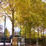 걷기 운동, 건강 챙기기 위한 가장 쉬운 실천법…일상 속 걷기 습관 이렇게 만들어보세요 Autumn trees line a street near a bus stop.