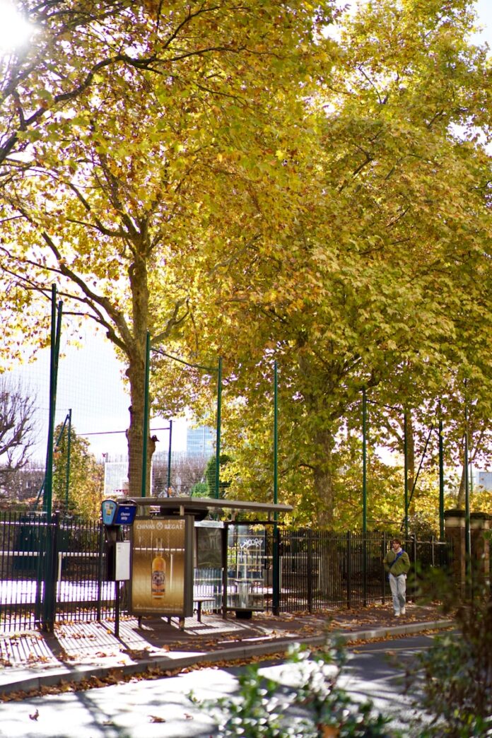 Autumn trees line a street near a bus stop.
