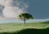 생활 속 ‘마음 챙김’ 실천, 바쁜 일상에도 가능한 건강 습관 A single tree on a vibrant green rolling hill.