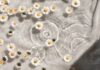 일상 속에서 만나는 ‘웰니스 문화’, 작은 습관부터 시작하는 건강한 변화 white and blue floral textile
