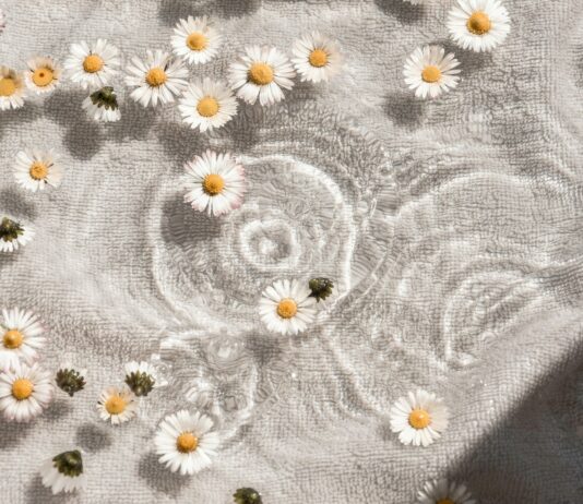 일상 속에서 만나는 ‘웰니스 문화’, 작은 습관부터 시작하는 건강한 변화 white and blue floral textile